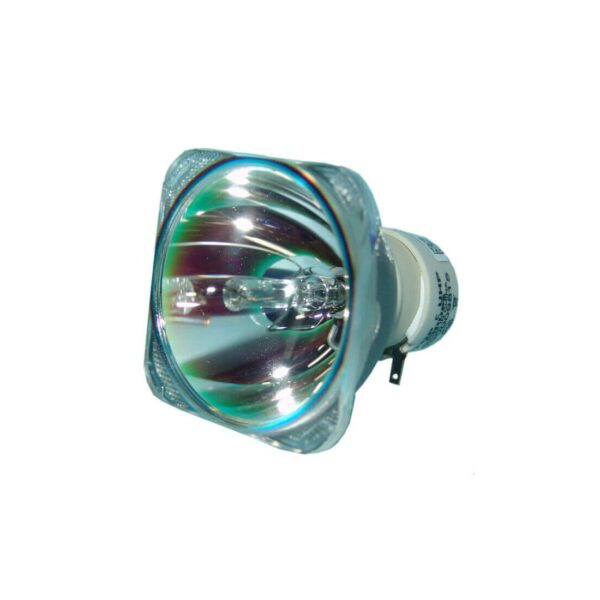 Lampe de videoprojecteur Optoma BL-FU185A SP.8EH01GC01