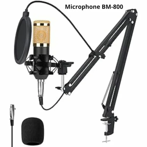 Microphone BM 800 Studio main 1