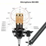 Microphone BM 800 Studio main 1 (2)